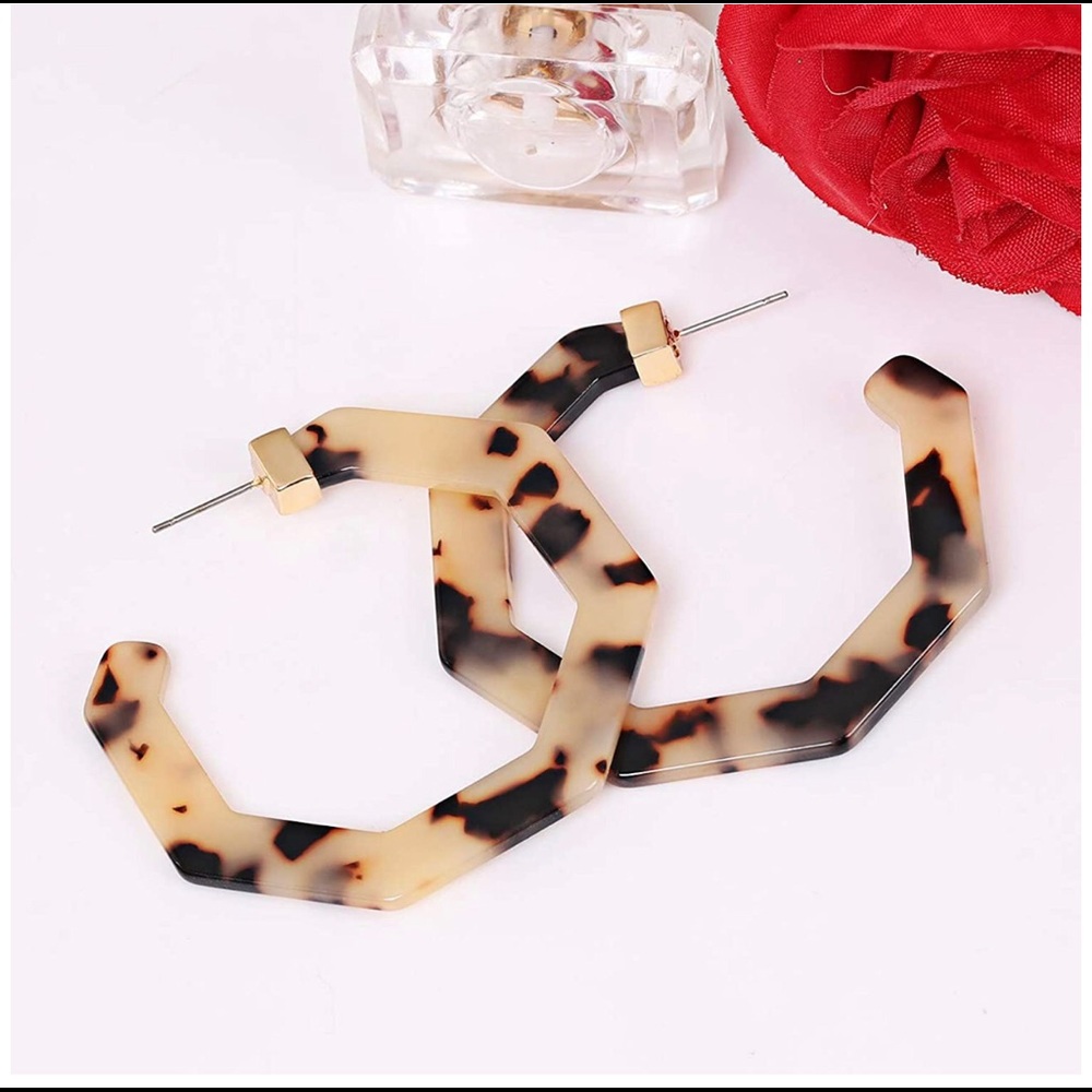 Amazon Phalin Acrylic Hoop Earrings